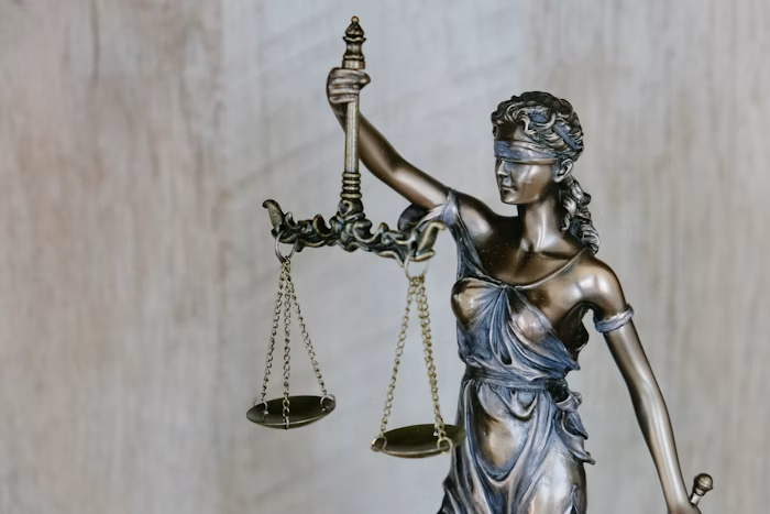 Law Firms & Lawyers